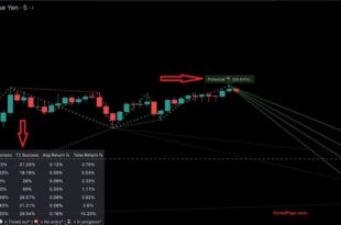 W Pattern Indicator MT5