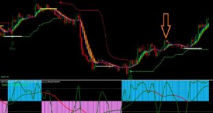 Bulls and Bears Indicator
