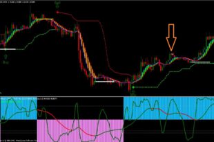 Bulls and Bears Indicator
