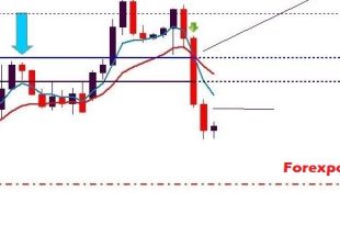 Dan Zanger Trading Method Book PDF