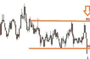 EA/Script to close Trades and Pending orders