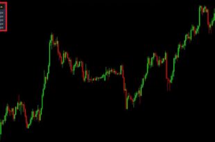 EA for Auto Stop Loss and Take Profit