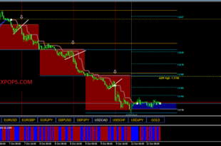 Forex Entry Point Indicator