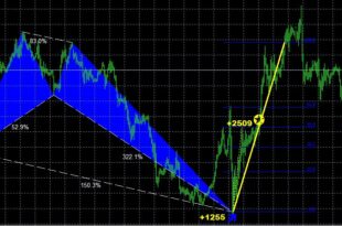 Harmonic Patterns MT4 Indicator