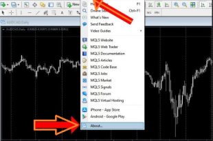 How To Install Custom Indicators on MT5