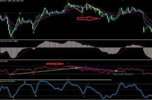 How to Use Show 123 Indicator