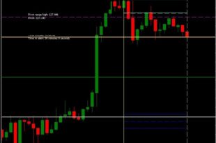 Logical trader indicator