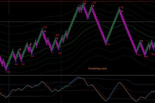 Median Renko System