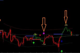 Phoenix Forex System
