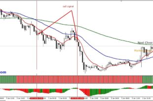 Top Trend Indicator