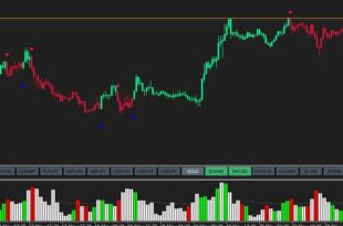 Volume Candlesticks Indicator