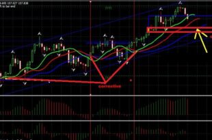 williams fractal indicator
